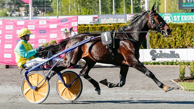 Vivid Wise As är inbjuden till Elitloppet 2021