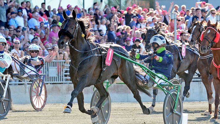 Elitloppet: Nytt omsättningsrekord för ATG 