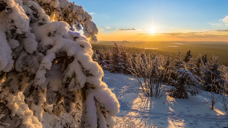 Winter im Erzgebirge 