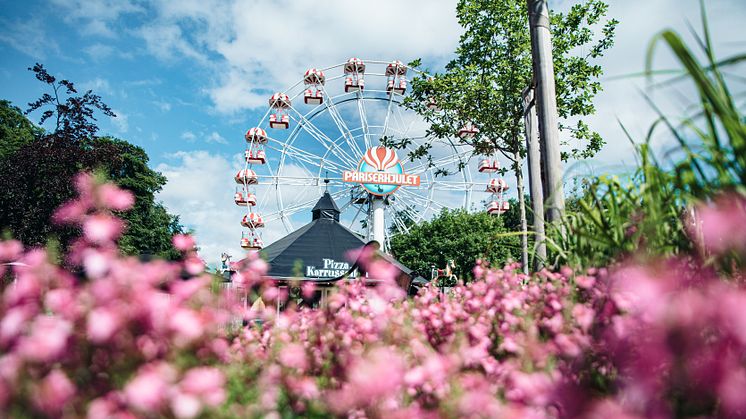 6_Tivoli Friheden Blomsterfestival_Lloyd Revald .jpg