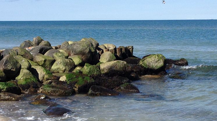 Hur vill du att ditt hav ska se ut? Bild: Skagen, Danmark. Hav: Kattegatt & Skagerak.