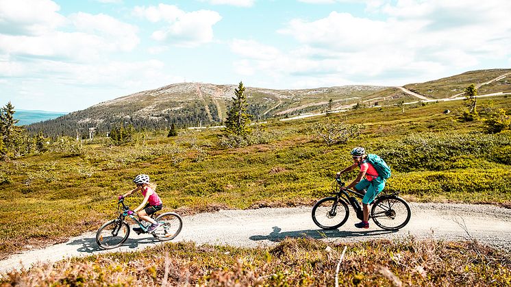 Høyfjellssykling på tilrettelagte sykkelstier er populært. Foto: Andreas Fausko