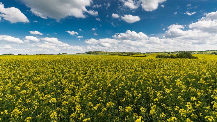 Von der Prignitz bis zum Lausitzer Seenland