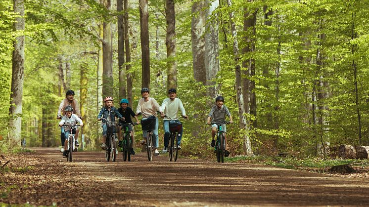 Cykling och naturturism är två av fokusområdena i länets nya besöksnäringsstrategi. Foto: Alexander C Svensson