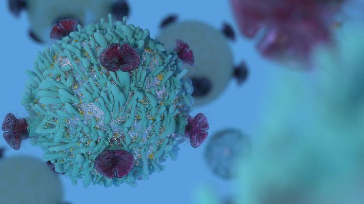 Fas III-studie visade att Bavencio® (avelumab) signifikant förlängde överlevnad vid avancerad urotelial cancer - resultat publicerade i The New England Journal of Medicine