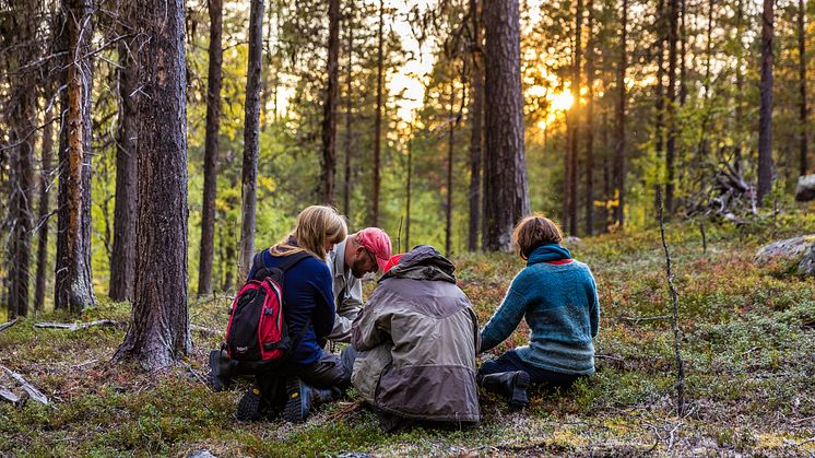 Inventering av skog i Karatj-Råvvåive. Foto: Marcus Westberg. (Bild skyddaskogen.se)