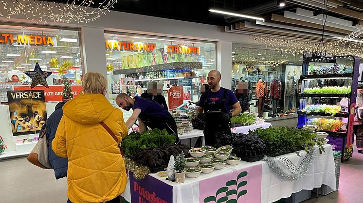 Erster B2C-Verkauf von Potager Farm: Schnell ausverkaufte Regale beim Weihnachts-Pop-up 