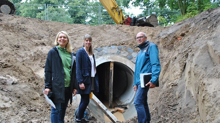 Ottertunnel Groß Thurow