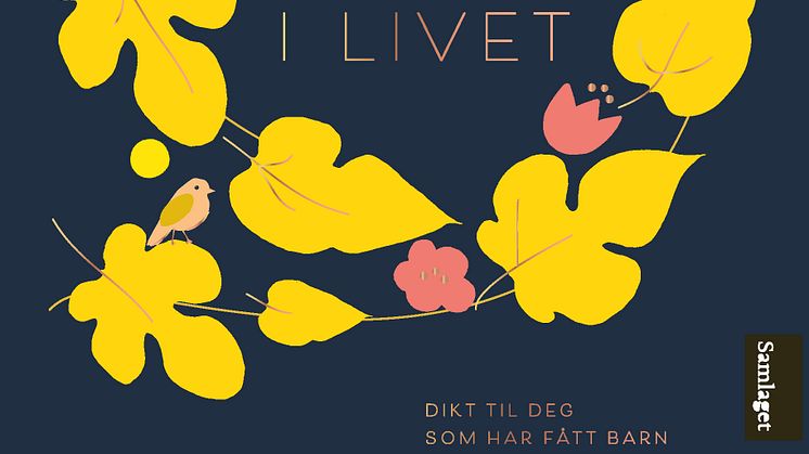 Ny diktantologi til nybakte foreldre; "Det største i livet"