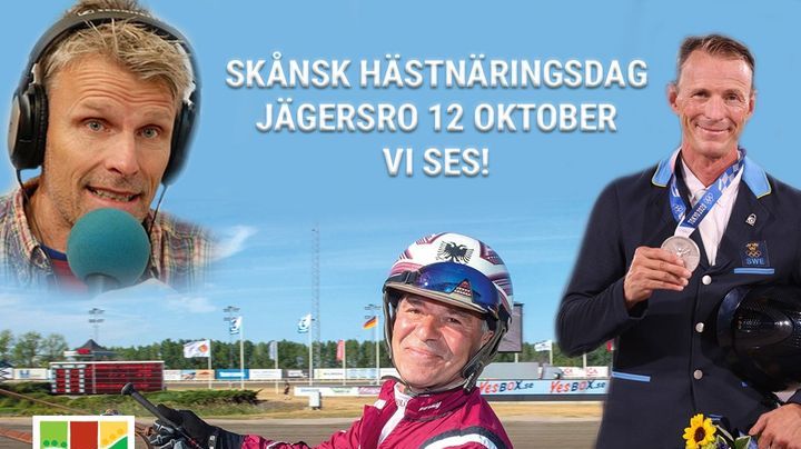 Christian Olsson, Lutfi Kolgjini och Peder Fredricson möts i ett spännande samtal på Jägersro