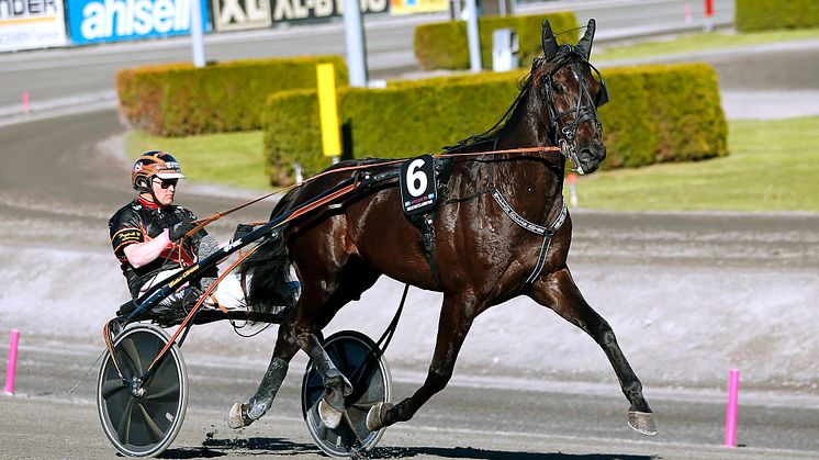 Milliondollarrhyme klar för Elitloppet 2021. Foto: TR Bild