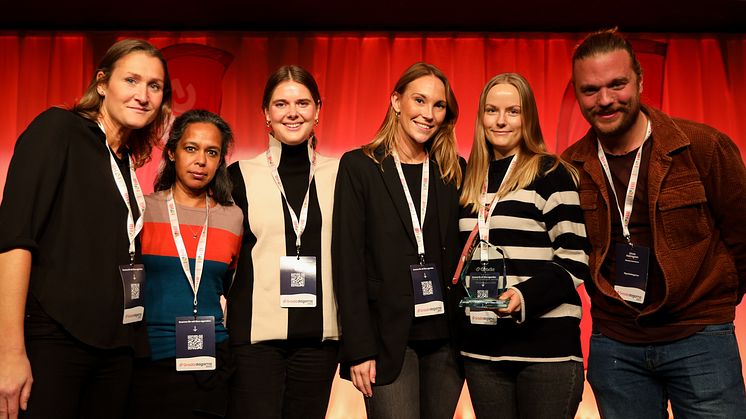 Från vänster: Elin Frantz, Mithoo Theander, Therese Prohorenko, Felicia Schölander, Denise Lekare och Linus Holmgren.