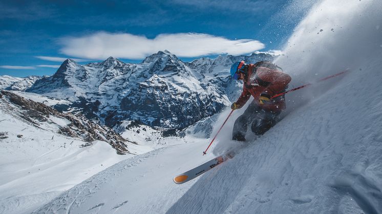 Telemark-Fahrer im Gebiet Birg-Schilthorn