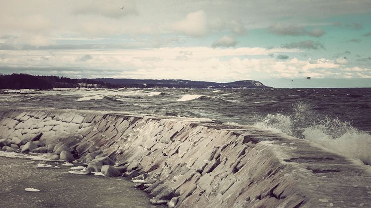 Under tre år har Havs- och vattenmyndigheten, HaV, låtit forskare undersöka om det finns kopplingar mellan fiskens hälsa och miljögifter i sydvästra Hanöbukten. Foto: Mats Svensson/Havs- och vattenmyndigheten.