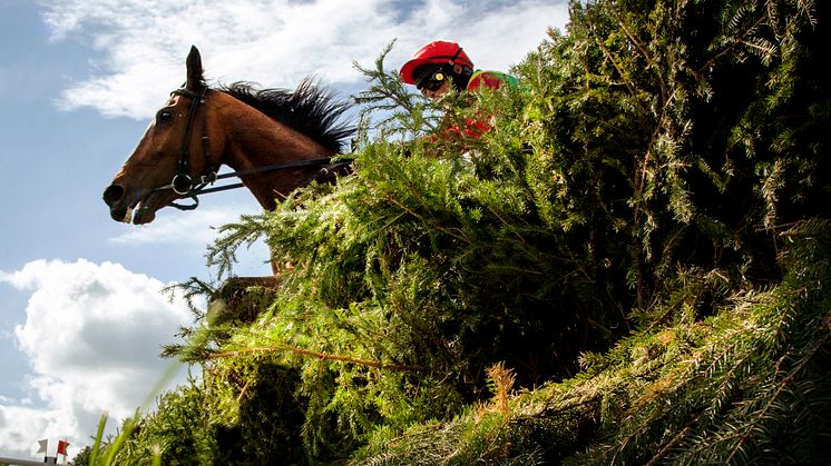 Svenskt Grand National blir huvudnummer på Strömsholm den 11 juni