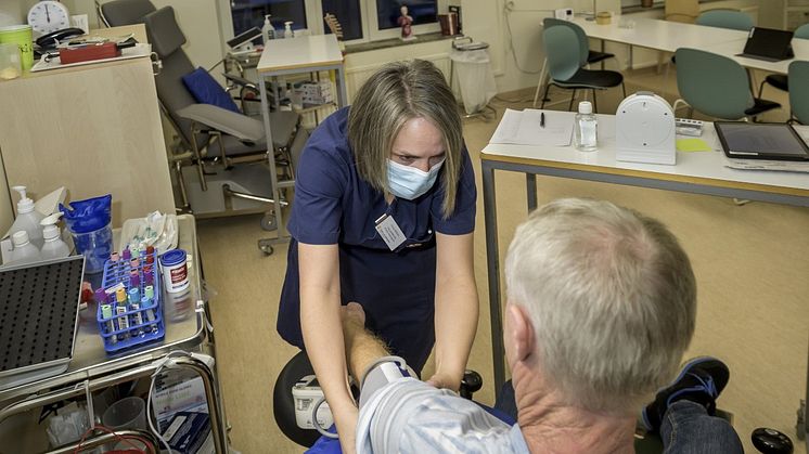 Ökad kunskap om hormonsystemet kan ge färre fall av typ 2-diabetes och fetma. Foto: Kennet Ruona
