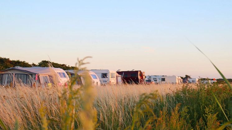 Camping i naturen på Sjælland - Oplevelse til hele familien