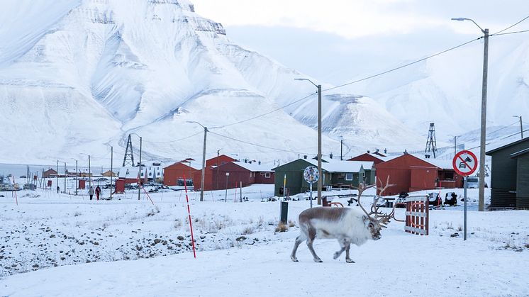 Visit Svalbard Adopts Sustainable Marketing Guidelines to Promote Responsible Tourism