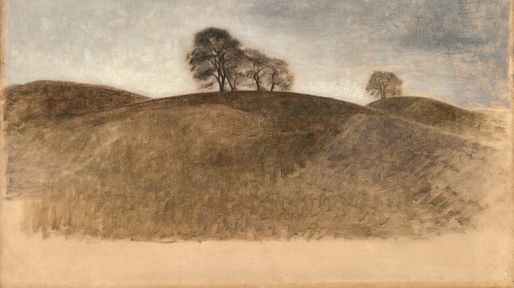 Vilhelm Hammershøi: Landskab fra Dunkebakke, Frederiksværk (1904)