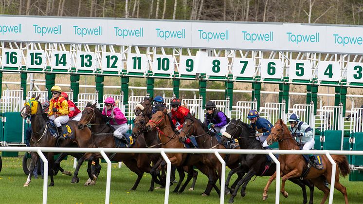 Världens första Pride Racing Day på Göteborg Galopp