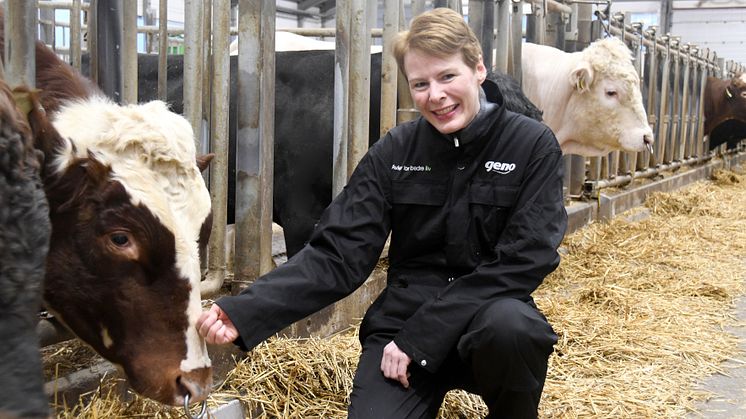 Kristin Malonæs will assume the position of Managing Director of Geno SA, the Norwegian Red breeding organization, from March 1st, 2020. Photo: Rasmus Lang-Ree