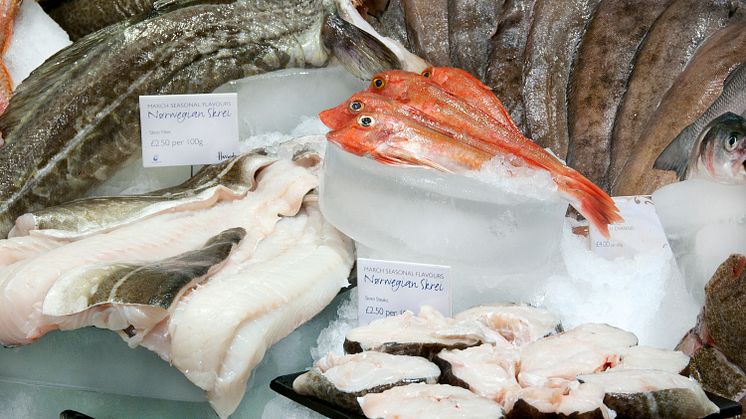 Norwegian Codfish Exports Exceed NOK 1 Billion in April   