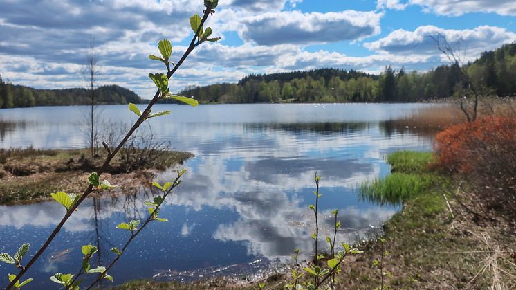 Naturmål i Halland. Kungsjölederna, Varberg. Foto Sandra Arntsberg.