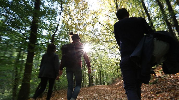 61 procent av unga vuxna vill ha ett fysiskt bankkontor att besöka, det framgår i Novus undersökning.