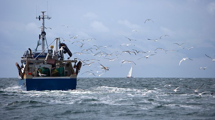 Yrkesfiskare kan söka stöd för att utrusta sina garn med pingers, som är en slags ljudskrämmare. Syftet är att skydda Östersjötumlare från att fastna i fiskeredskap. Bild: Malcolm Hanes 