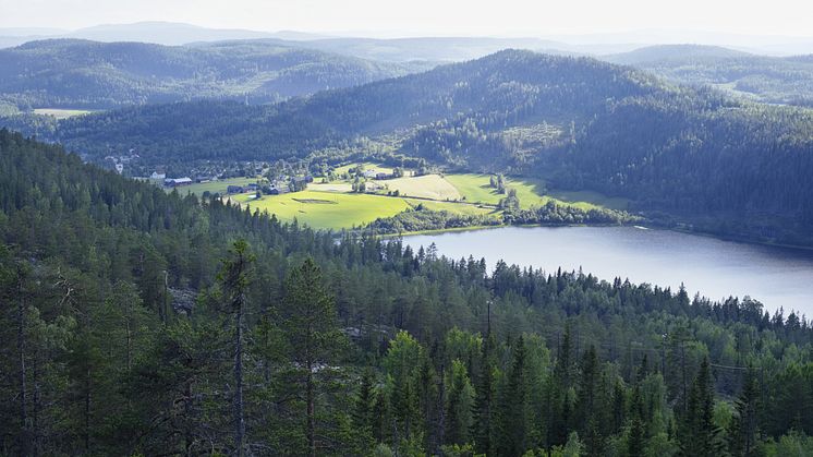 Polarbröd skriver under upprop för skärpning av EU:s klimatstrategi