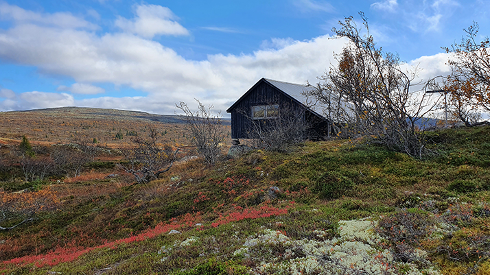 Bästa vandringsupplevelsen får besökarna om de sätter på sig bra kängor och väljer leder på höglänt terräng. Foto: Länsstyrelsen i Dalarnas län