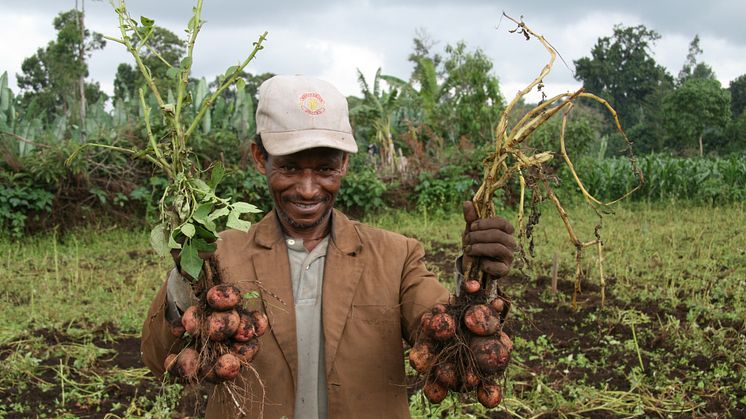 SLU Global. Harvest2.