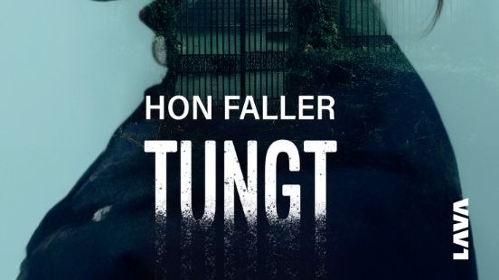 Joy Andersson skildrar livet innan och efter diagnosen Dissociativ identitetsstörning i självbiografin "Hon faller tungt"