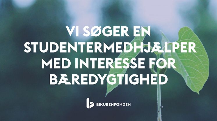 En studentermedhjælper_bæredygtighed