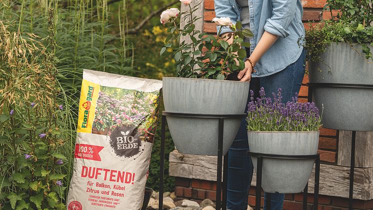 Die Bio-Erde DUFTEND! eignet sich gut für die Bepflanzung von Töpfen und Kästen auf dem Balkon und der Terrasse. 