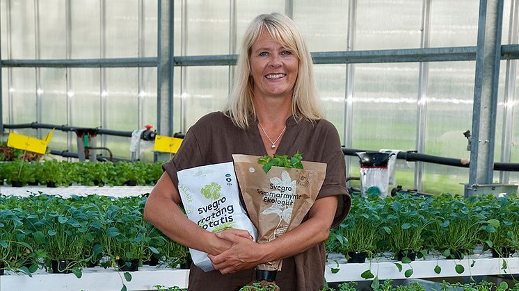 Färska örter, sallater och potatis året runt från Svegro