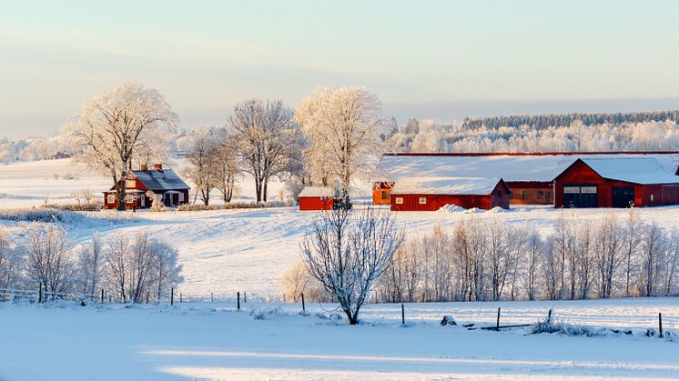 Dalarna i topp tre – många söker stöd för klimatsmarta satsningar