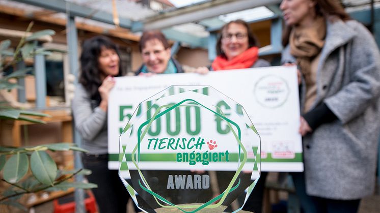 „tierisch engagiert“-Award: 5.000 € für die Katzenhilfe Karlsruhe