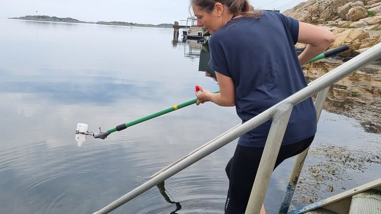 Proverna som togs den 8 augusti visar på att alla 16 badplatser i Kungsbacka fick tjänligt badvatten. Under sommarmånaderna görs fyra planerade provtagningar av badvatten, och detta var sista provtagningen.. 