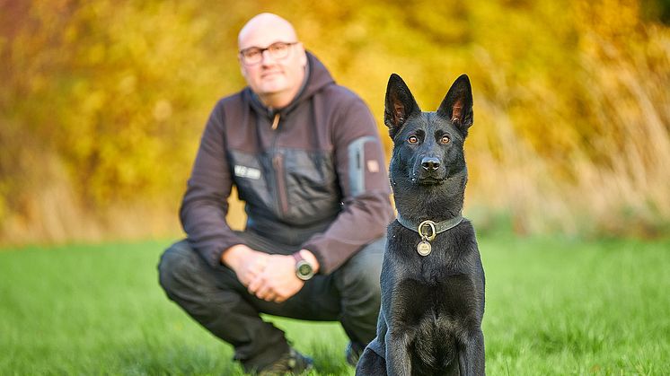 En ny opgørelse fra If Forsikring viser, at danskerne i stigende grad forsikrer deres hunde som fuldgyldige familiemedlemmer. Foto: Martin Witt.