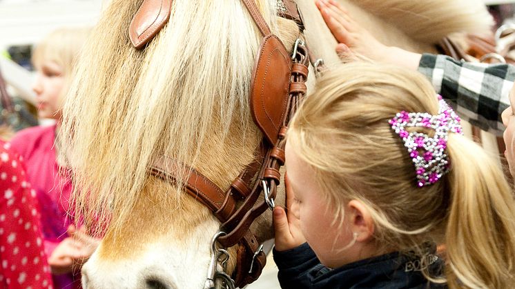 På EuroHorse kan man klappa och hälsa på hästerna vilket är en hit för alla barn.