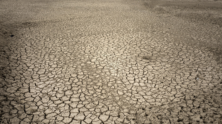 Parisavtalets mål om att ökningen av den globala medeltemperaturen år 2030 inte ska överstiga 1,5 grader kommer inte att nås om inte människorna med mest resurser tar sitt ansvar.