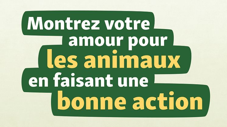 Le pendentif au motif de patte est vendu au prix de 3 francs, dont 2 sont reversés à des projets de protection animale en Suisse.