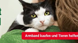 Freundschaft verbindet: Mit modischem Armband zum Botschafter für den Tierschutz werden