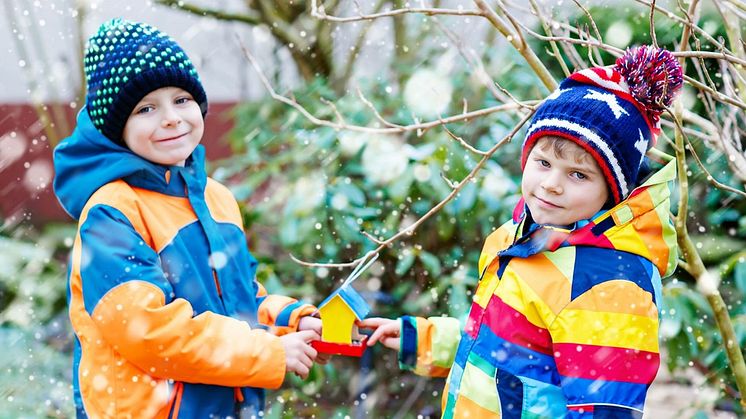 BirdLife Sverige har bjudit in landets skolor till en fågelräkningstävling.