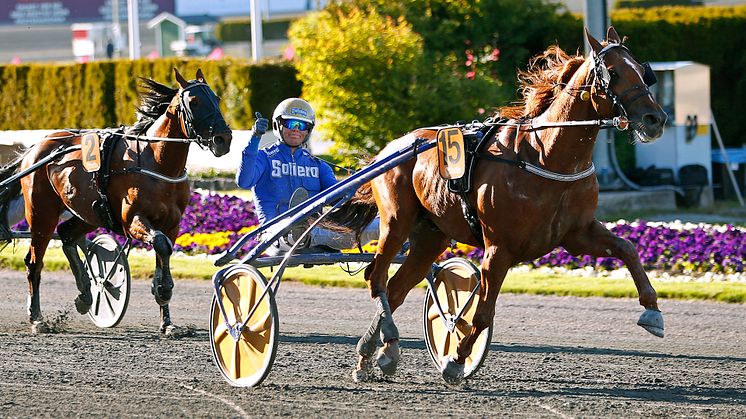 Moni Viking vann Harper Hanovers Lopp 2020 och är i år en av deltagarna i Elitloppet. Foto: TR Bild