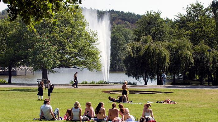 Göteborgs Stad är på plats under Way Out West med en kampanj mot kompislangning. Foto: Peter Svensson. 