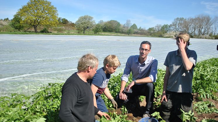 Potatisodlare Arnold, Jesper och Pontus Ebbesson tillsammans med Lidls inköpsansvarig frukt och grönt Peter Reisenzein 