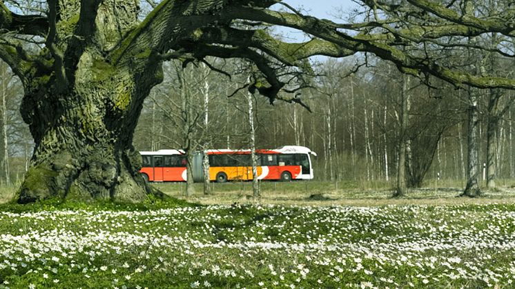 Foto: Region Östergötland