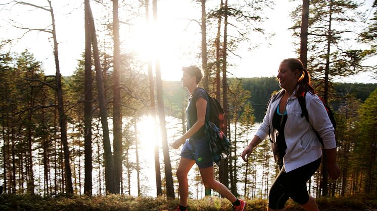 Bild från Isälvsleden mellan Vindeln och Åmsele, Västerbotten